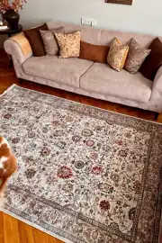 Safir Serisi Bej Vintage Dokuma Halı Salon Halısı 160x240cm 2