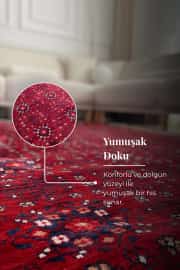 Safir Serisi Kırmızı Vintage Dokuma Halı Salon Halısı 160x240cm 6